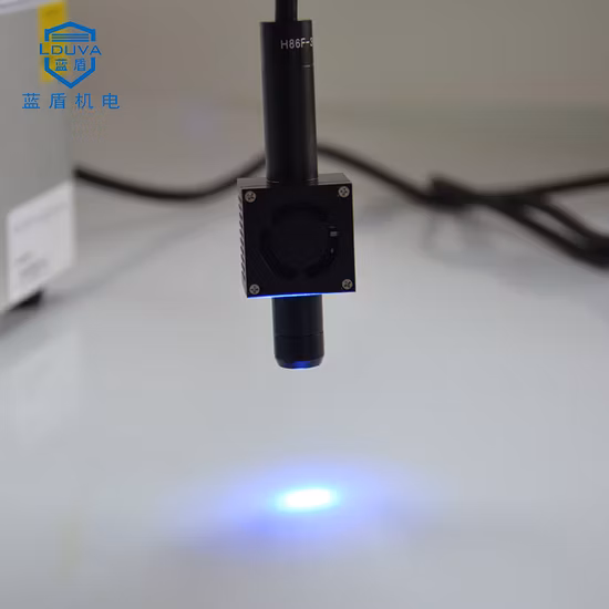 Mini macchina per polimerizzare pavimenti in legno UV LED per pannelli MDF