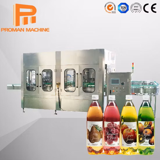 Automatic Bottle Water Beverage Hot Juice Carbonated Soda Drink Purifying Filter System Washing Filling Capping Labeling Printing Packing Packaging Machine Line