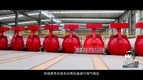 Cina Linea di produzione di pannelli in calcestruzzo aerato, materiali da costruzione per isolamento termico, impianto di calcare con sabbia Alc, miglior prezzo