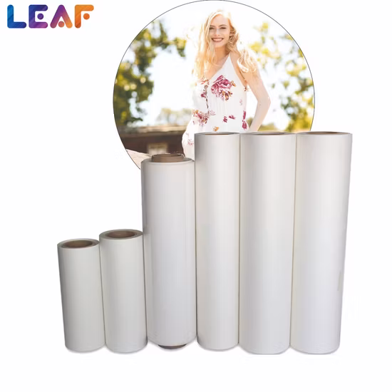 2022 Corrispondenza I3200 4720 DTF Stampante Polvere Shaker Macchina Polvere Polimerizzazione Rotolo da rotolare